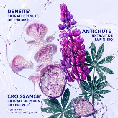 Phyto Phytocyane Champô Anti-Queda 500ml | Farmácia d'Arrábida