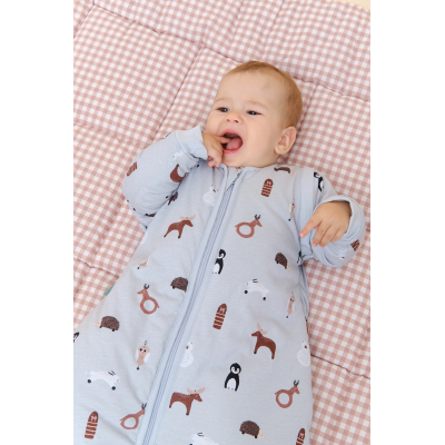 Molis&Co TOG 2.5 Saco Cama com Mangas 12-18M Winter Animals | Farmácia d'Arrábida
