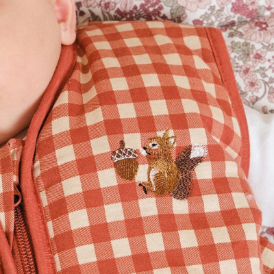Molis&Co TOG 2.5 6-18 Meses Saco de Dormir Bebé Vichy Clay | Farmácia d'Arrábida