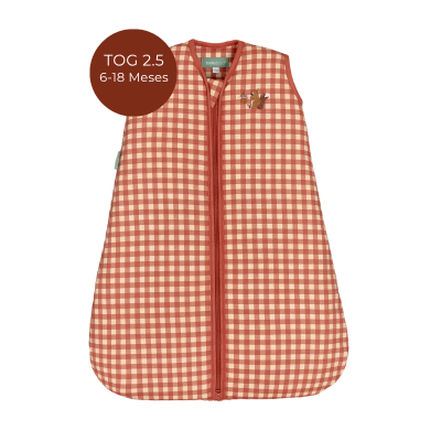 8436579289126 Molis&Co TOG 2.5 6-18 Meses Saco de Dormir Bebé Vichy Clay - Para as noites mais frias