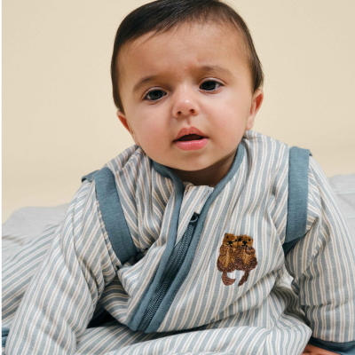 Molis&Co TOG 2.5 12-18 Meses Saco de Dormir Bebé com Mangas Blue Stripes | Farmácia d'Arrábida