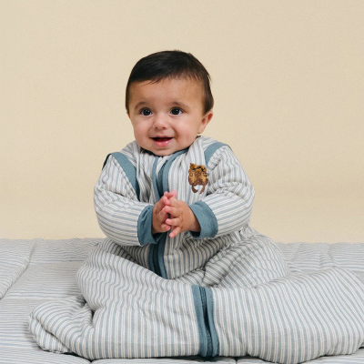 Molis&Co TOG 2.5 6-12Meses Saco de Dormir Bebé com Mangas Blue Stripes | Farmácia d'Arrábida