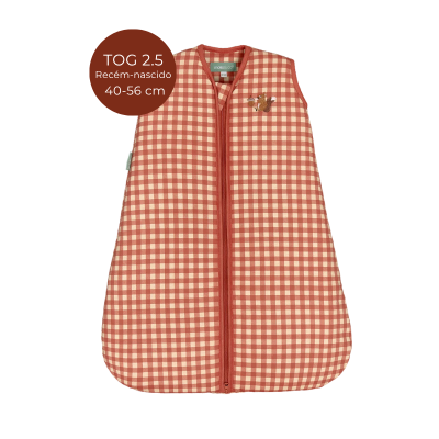8436579289102 Molis&Co TOG 2.5 Recém-nascido Saco de Dormir Bebé Vichy Clay - Para as noites mais frias