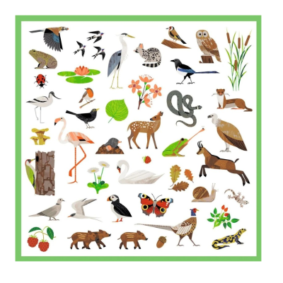 Djeco 160 Autocolantes Animais Fauna para Crianças +4 Anos
