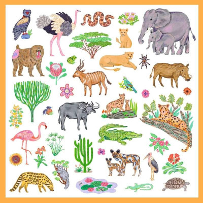 Djeco Kenya 160 Autocolantes Animais Africanos | Farmácia d'Arrábida