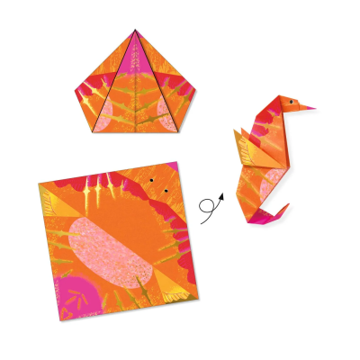 Djeco Origami Animais Marinhos | Farmácia d'Arrábida