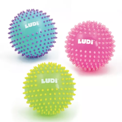 Ludi Bola de Massagem Bicolor com Picots para Bebé a partir dos 6 Meses