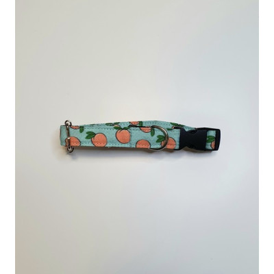 Coleira Cão/ Gato Azul com Laranjas XS