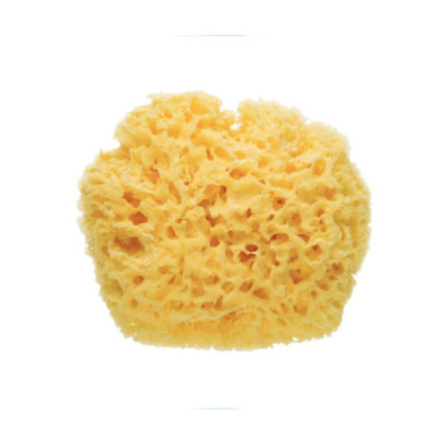 Saro Esponja Natural