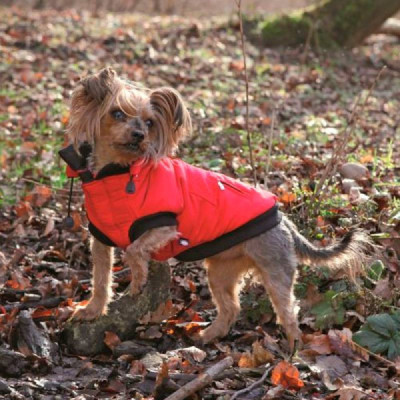 Trixie Palermo Capa Para Cães Vermelho 33cm