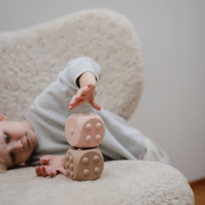 Mushie Brinquedo Dados Dried Thyme e Natural +10M