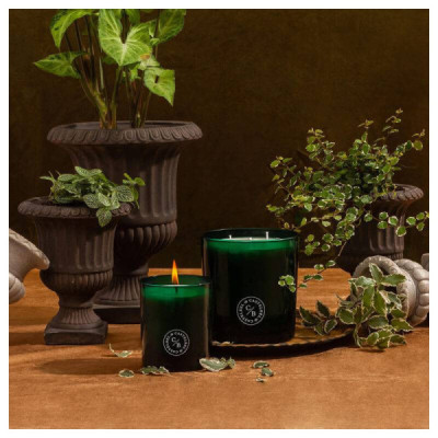 Castelbel Tiles Vela Aromática 3 Pavios Green Sencha 600g