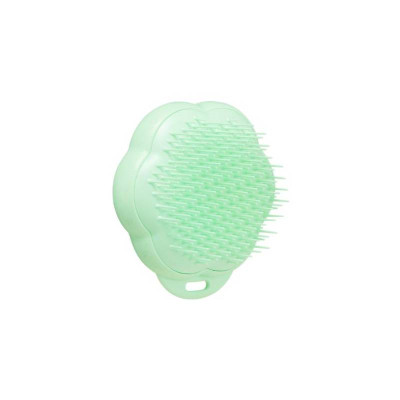 7275693 Pet Teezer Gato Escova Verde