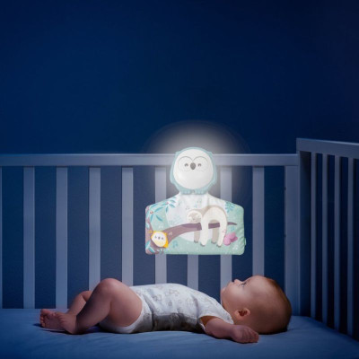 7492819 Chicco Tapete Mocho 2 em 1