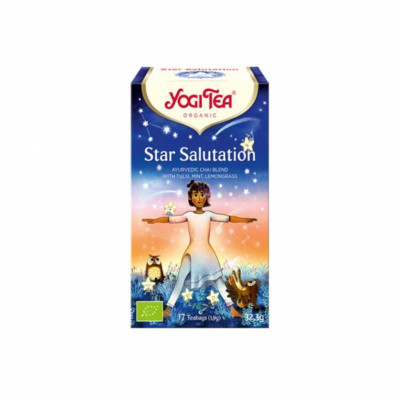 4012824406131 Yogi Tea Bio Chá Star Salutation Saquetas x17