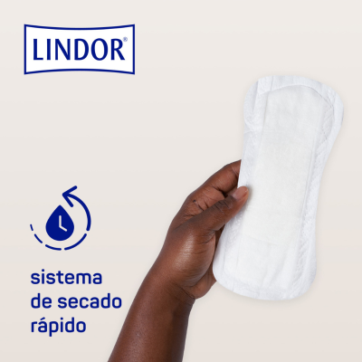 Lindor Lady Pad Mini Pensos (2 Gotas) 14 Unidades | Farmácia d'Arrábida