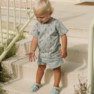 Monneka Calção Curto Algodão Cool Dinos Verde 3A | Farmácia d'Arrábida