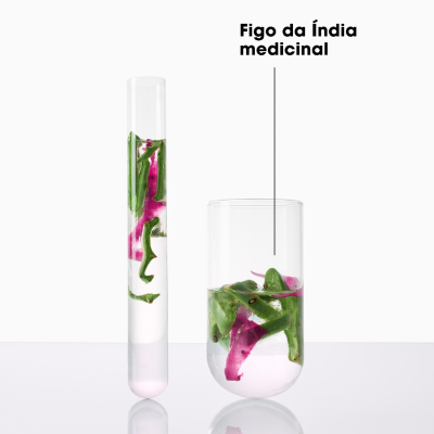 Klorane Champô Figo Índia 2x400ml | Farmácia d'Arrábida