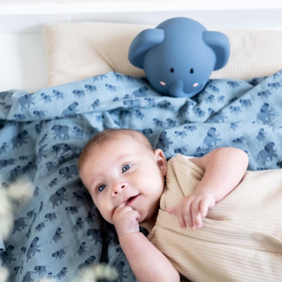 TRIXIE Fralda Musselina Enchanting Elephant | Farmácia d'Arrábida