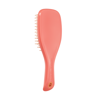 Tangle Teezer Detangler Mini Escova Pink Orange | Farmácia d'Arrábida