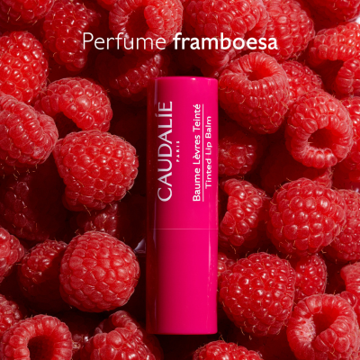 Caudalie Vinotherapist Bálsamo de Lábios com Cor 4,5g  | Farmácia d'Arrábida