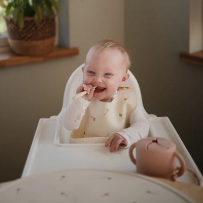 Mushie Babete Silicone +6Meses Cor Woodchuck | Farmácia d'Arrábida