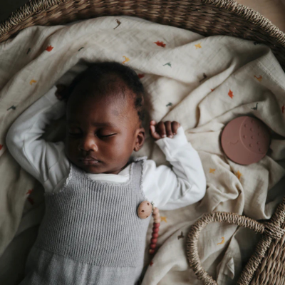 Mushie Fralda Pano Musselina Suave Padrão Dinosaurs | Farmácia d'Arrábida