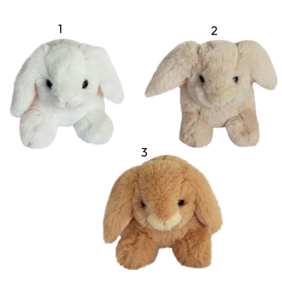 Histoire d'Ours Peluche Coelho Lapin | 17 cm