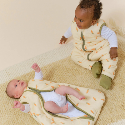 Molis&Co Saco Cama Bebé Carrots TOG 2.5 0-6M Farmácia d'Arrábida