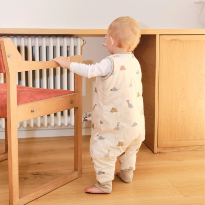 Molis&Co TOG 2.5 Pijama Manta Dinos +3A Inverno | Farmácia d'Arrábida