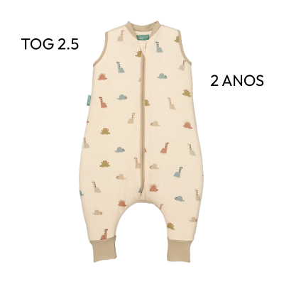 8436579285425 Molis&Co TOG 2.5 Pijama Manta Dinos +2Anos | Inverno