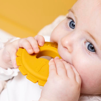 Trixie Mordedor Refrescante Mr. Lion 0m+ | Farmácia d'Arrábida