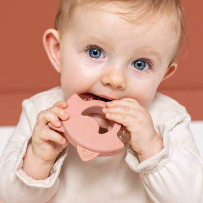 Trixie Mordedor Refrescante Mrs. Cat +0M | Farmácia d'Arrábida