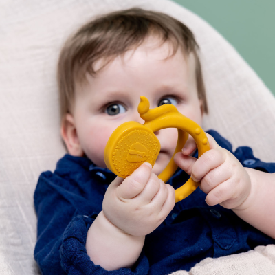 Trixie Mordedor Sensorial Mr. Lion 0m+ | Farmácia d'Arrábida