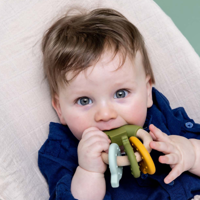 Trixie Anel de Atividades Mordedor Mr. Dino +0M | Farmácia d'Arrábida