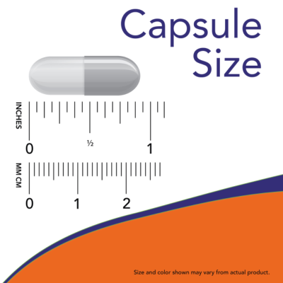 NOW Própolis 1500 mg 100 Caps. | Farmácia d'Arrábida