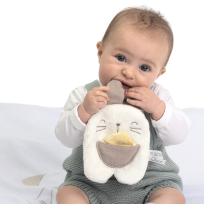 Chicco Porta Chupeta Coelhinho Doudou +0m | Farmácia d'Arrábida