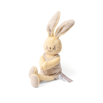 Chicco Peluche Coelhinho Amoroso +0m 24.5cm | Farmácia d'Arrábida