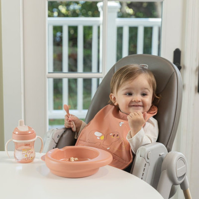 Chicco Babetes Tecido Impermeável 6M+ Rosa 2un | Farmácia d'Arrábida