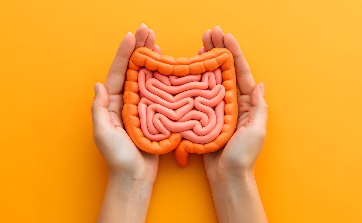 Como manter o intestino saudável através da suplementação