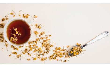 Chá de Equinácea – 7 factos que tens de saber