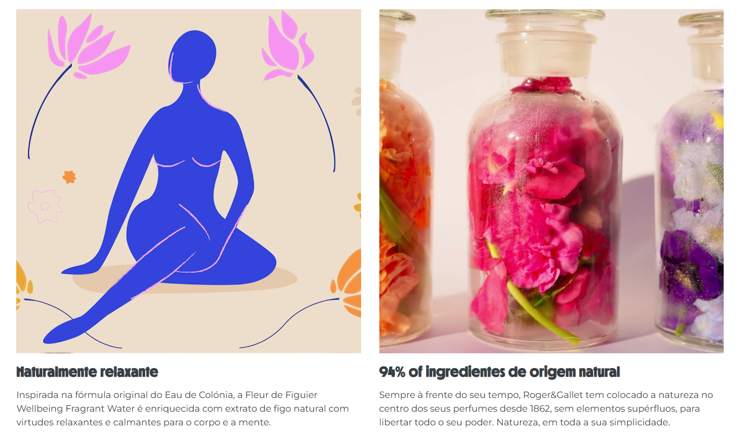 Captura de ecrã 2026-08-20 141542.png
