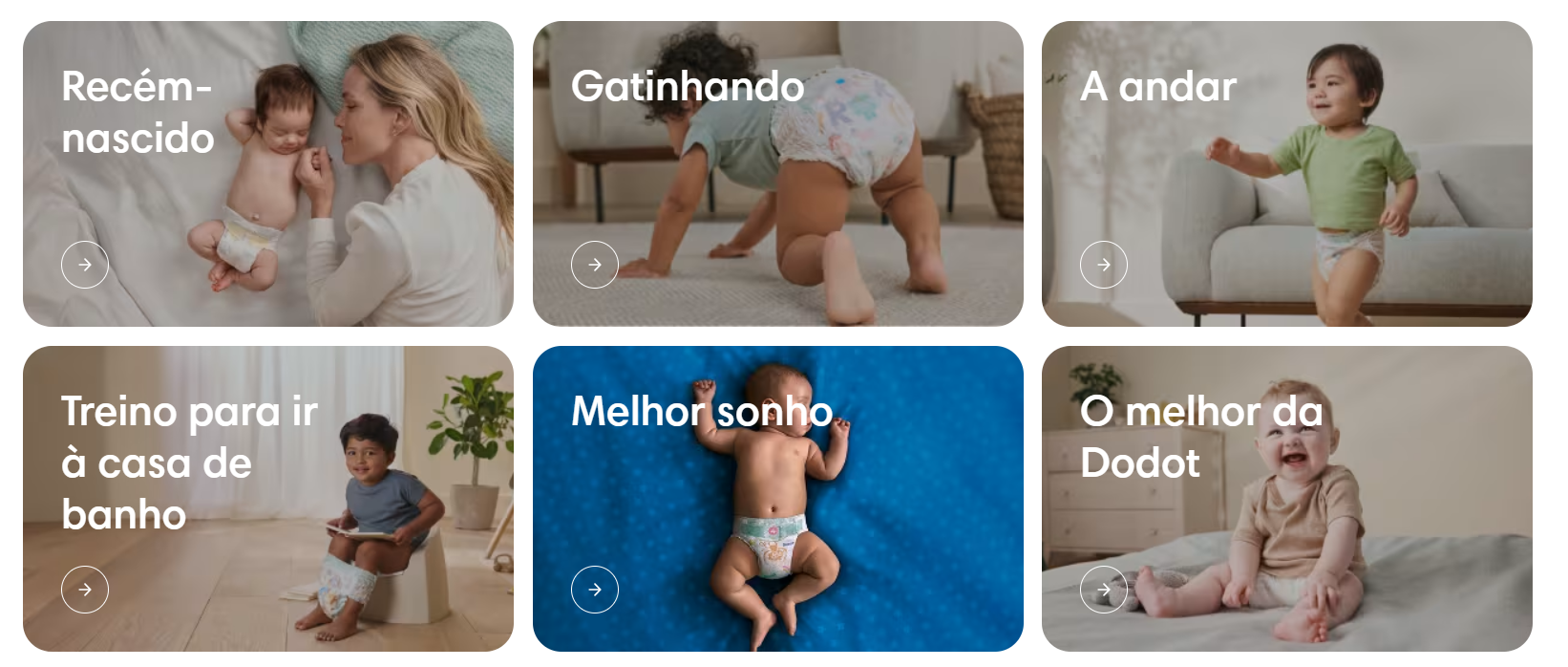 Captura de ecrã 2026-09-04 094225.png